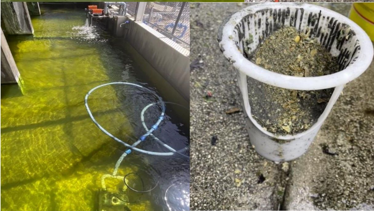 Robotic Basin & Water System Cleaning